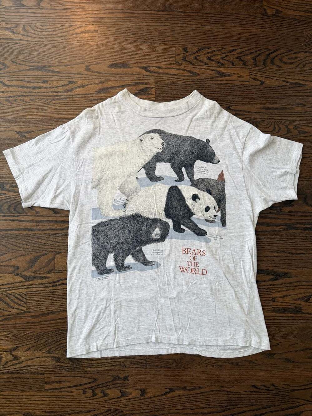 Vintage 92 Single Stitch XL Hanes Beefy-T “Bears of the World” Diana Dee Tyler.